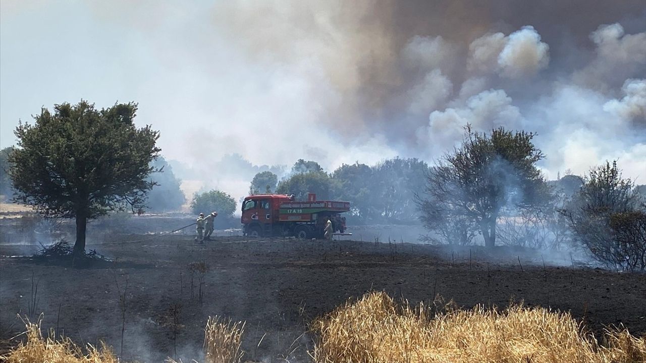 Çanakkale'de Tarım Arazisinde Yangın Çıktı