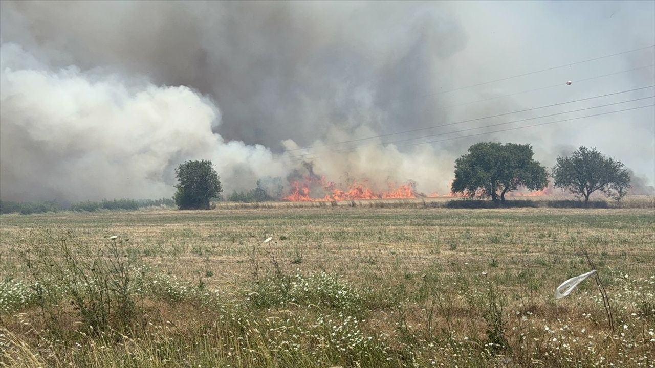 Çanakkale'de Tarım Arazisinde Yangın Kısa Sürede Kontrol Altına Alındı