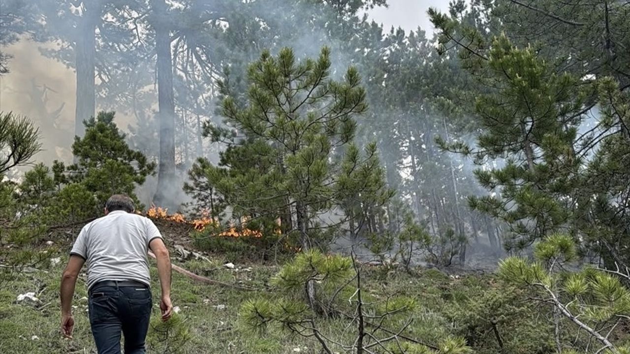 Denizli'de Orman Yangını Kontrol Altına Alındı
