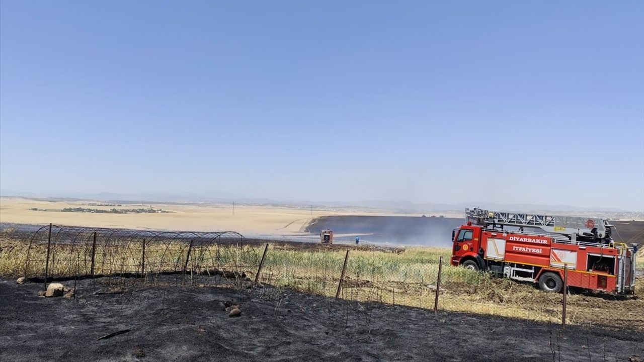Diyarbakır'da Yangın: 1000 Dekar Alan Zarar Gördü