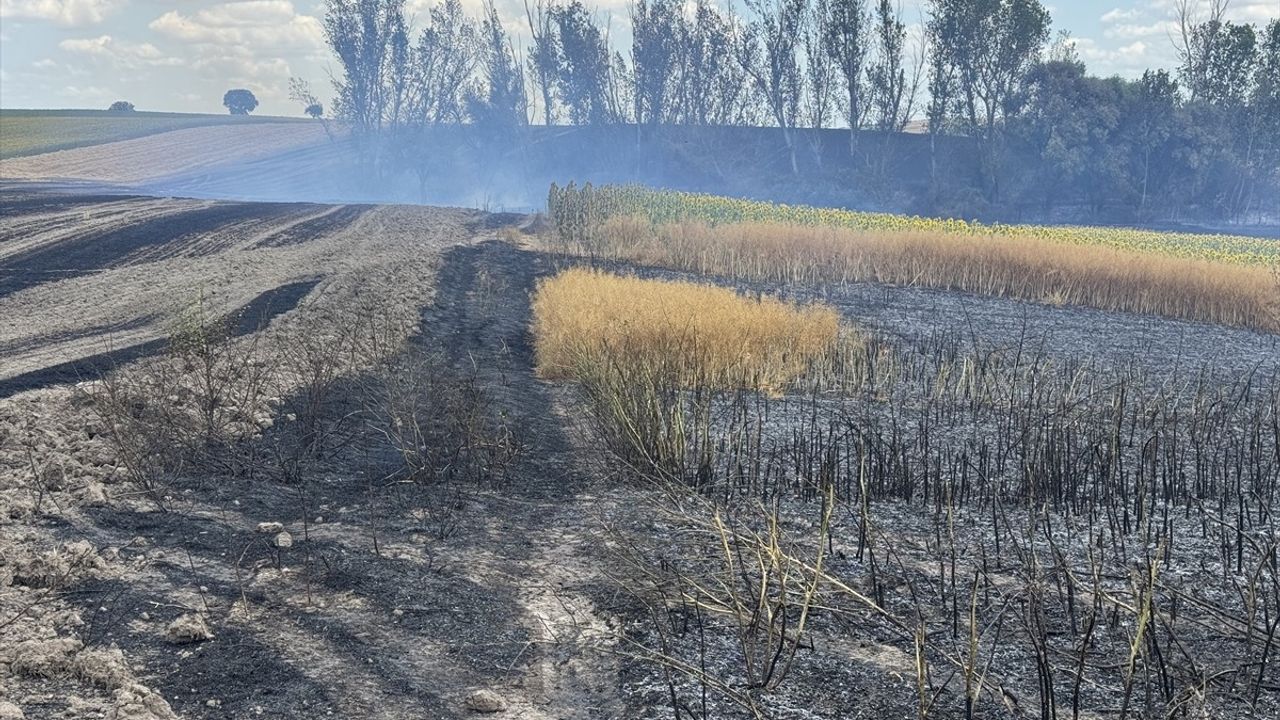Edirne'de Hasat Edilmiş Tarlada Yangın Çıktı