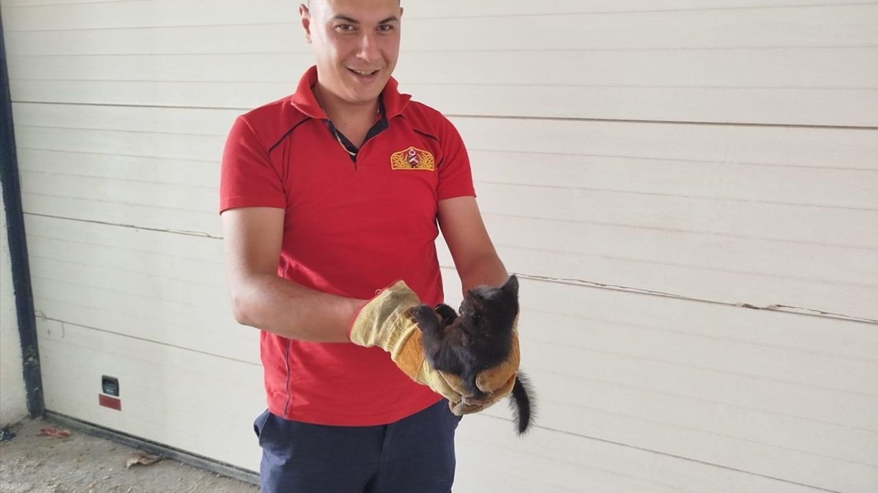 Erzincan'da İtfaiye Ekipleri Kedi Yavrularını Kurtardı
