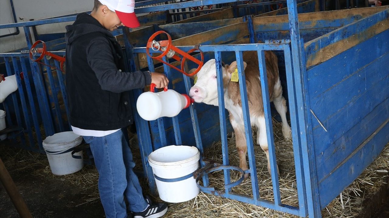 Erzurum'da Koruma Altındaki Çocuklar Süt Ürünleri Yapımını Öğreniyor