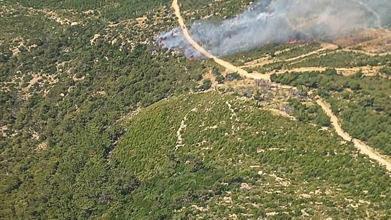Foça'da Orman Yangınına Havadan ve Karadan Müdahale