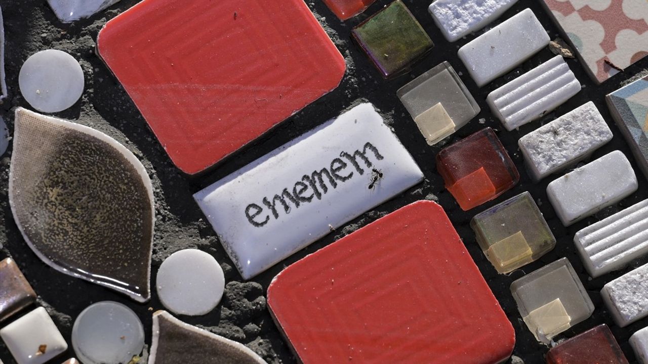 Fransız Sanatçı Ememem, Ankara'ya Renk Katıyor