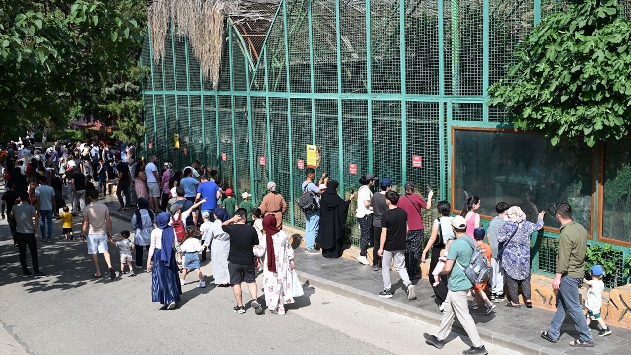 Gaziantep Doğal Yaşam Parkı Bayramda 90 Bin Ziyaretçi Ağırladı