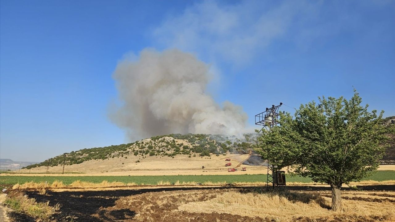 Gaziantep'te Anız Yangınına Cezai İşlem