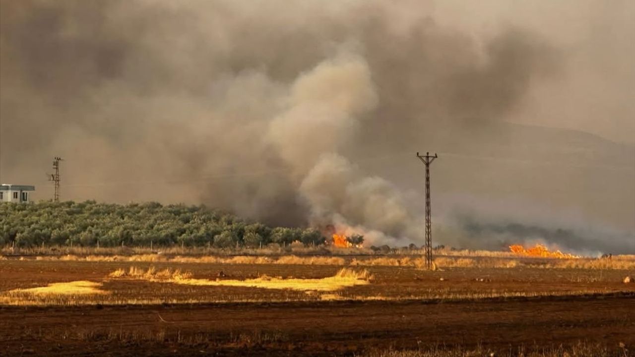 Gaziantep'te Buğday Tarlasını Saran Yangın