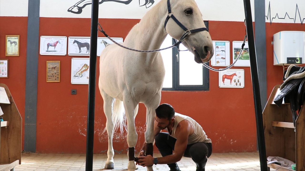 Gaziantep'te Hobi Olarak Biniciliğe Başlayan Doktor Lisanslı Sporcu Oldu