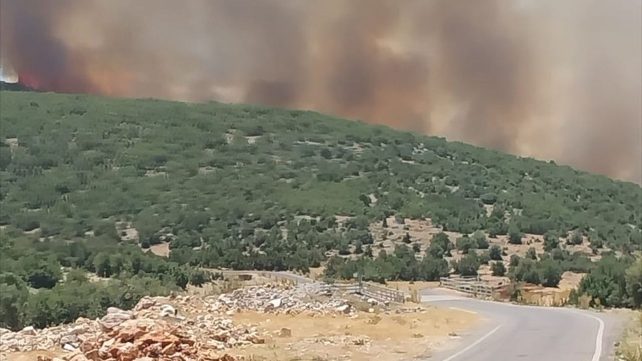 Gaziantep'te Orman Yangınına Müdahale Başlatıldı
