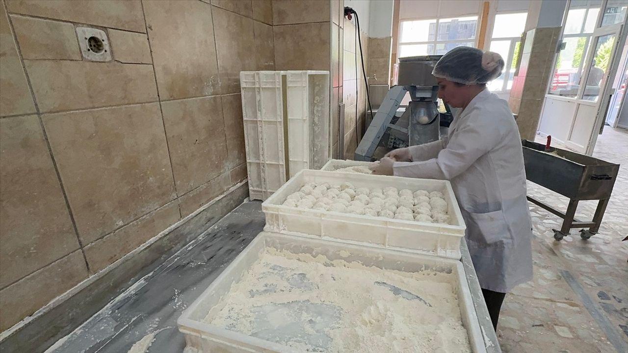 Giresun'da Kadın Girişimci Yufka İmalathanesiyle İstihdam Yaratıyor