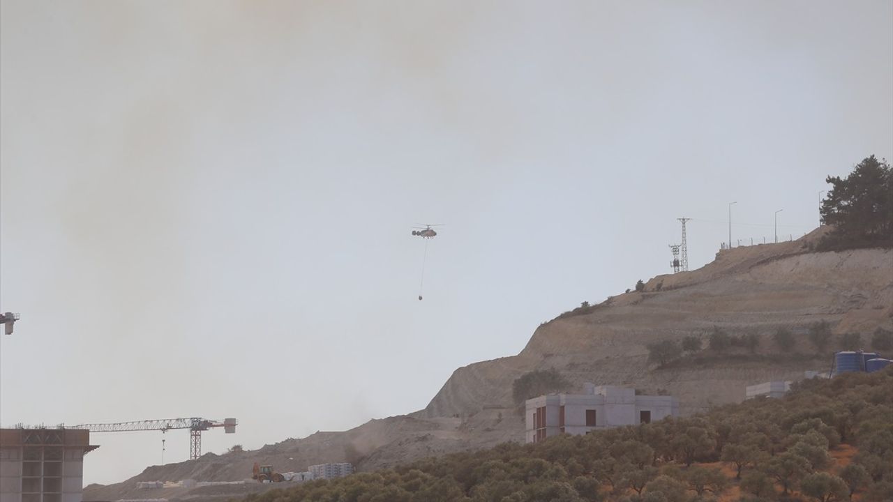 Hatay'da Orman Yangını: 160 Hane Tahliye Edildi