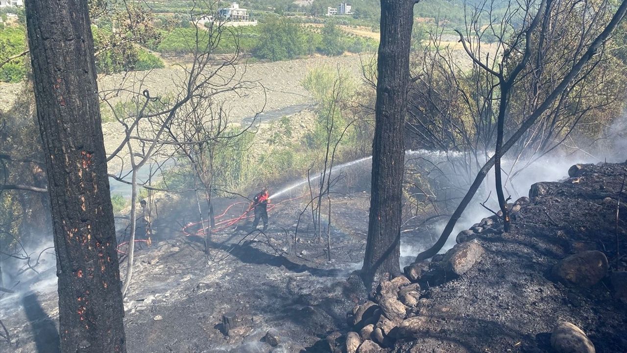 Hatay'da Orman Yangını Kontrol Altına Alındı