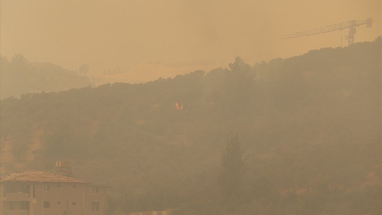 Hatay'daki Orman Yangını: 200 Hane Tahliye Edildi