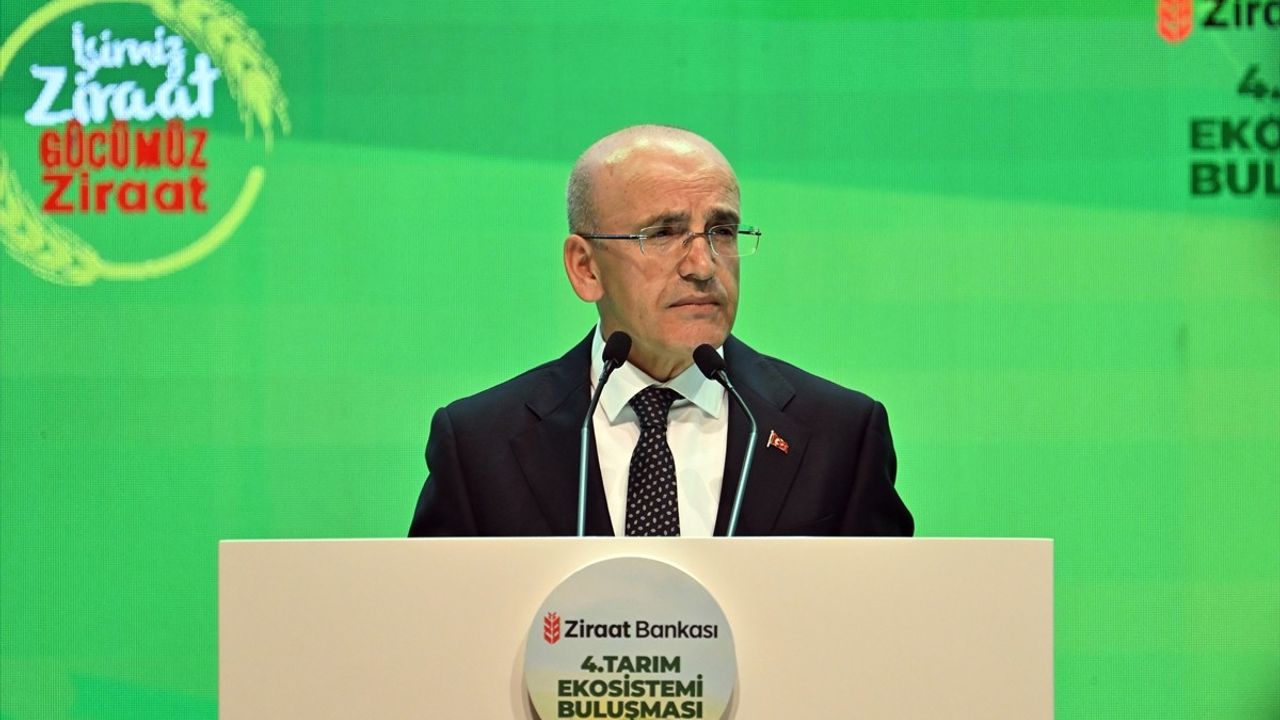 Hazine ve Maliye Bakanı Şimşek'ten Enflasyon ve Tarım Destekleri Üzerine Açıklamalar