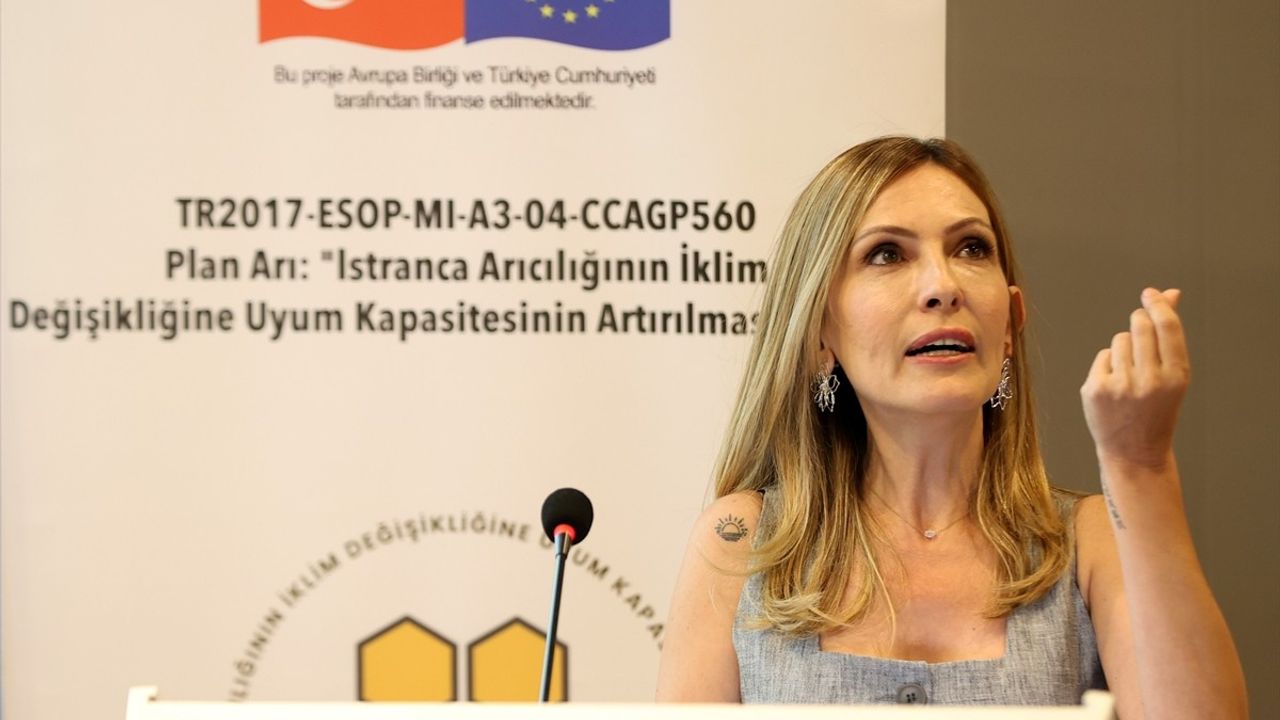 İklim Değişikliği Arı Popülasyonunu Tehdit Ediyor