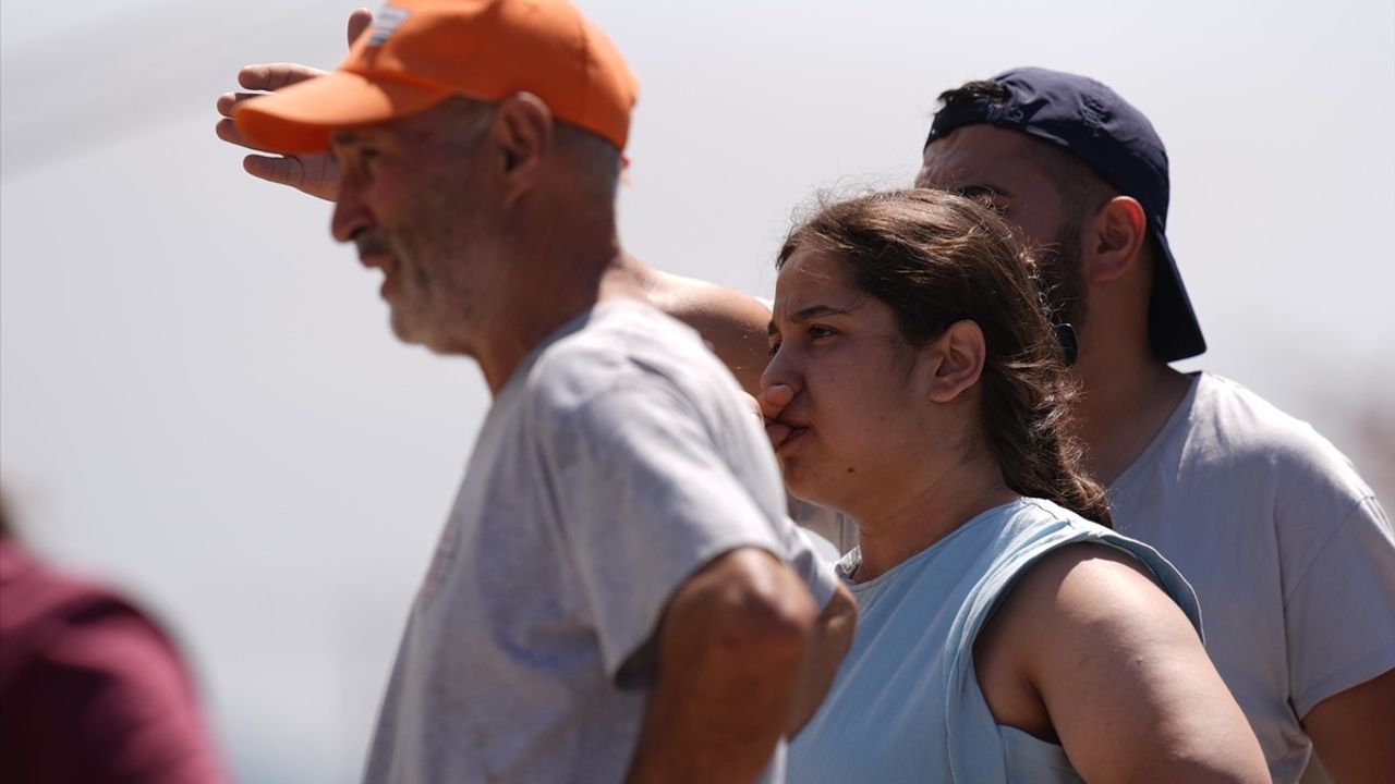 İzmir'de Menderes ve Seferihisar Arasında Orman Yangını