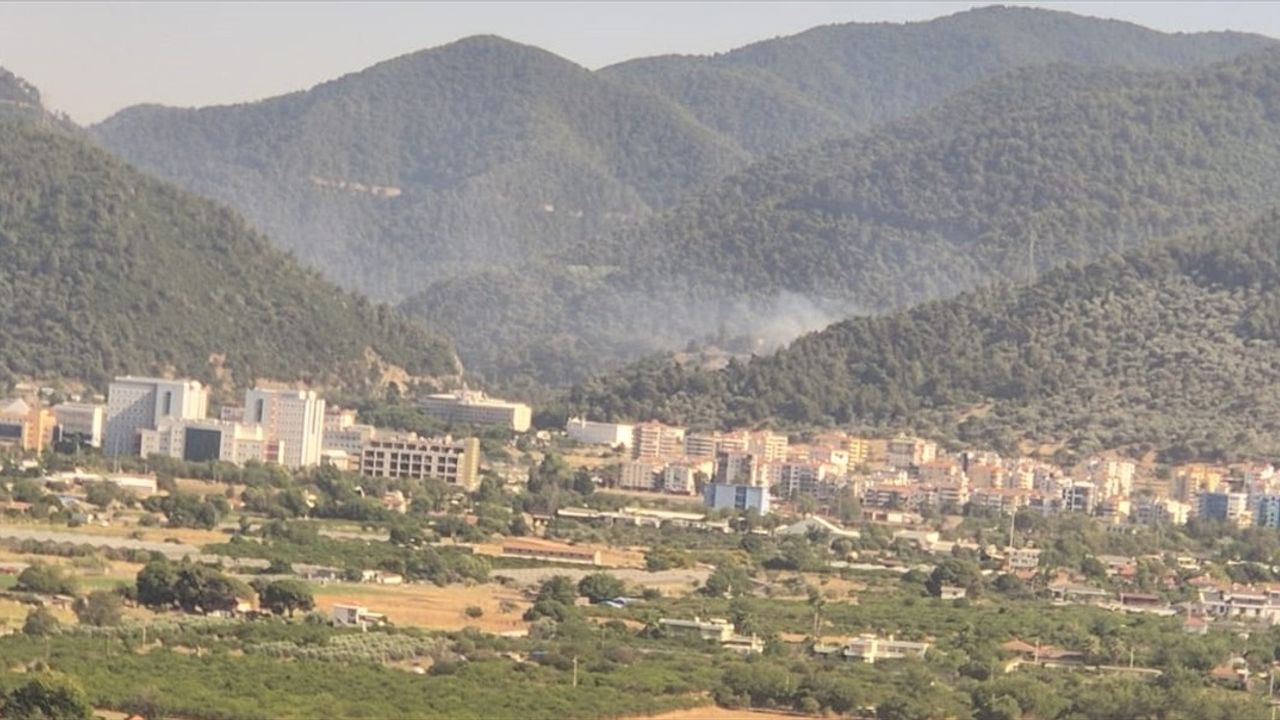 İzmir'de Orman Yangını: Hızla Müdahale Başlatıldı