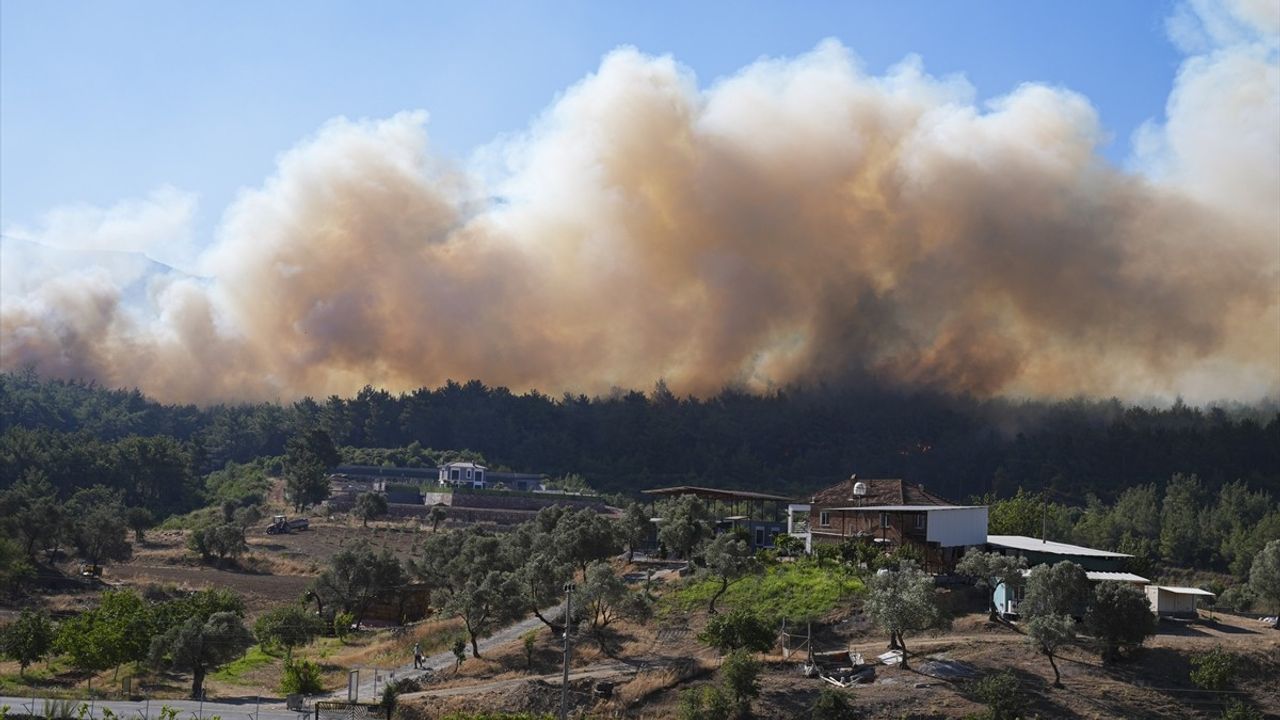 İzmir'de Orman Yangınlarına Müdahale Devam Ediyor