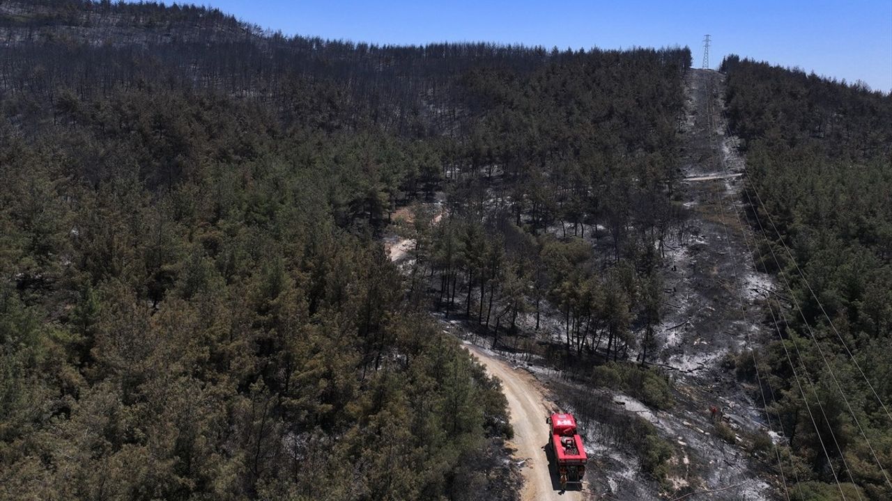 İzmir'deki Orman Yangını Havadisleri