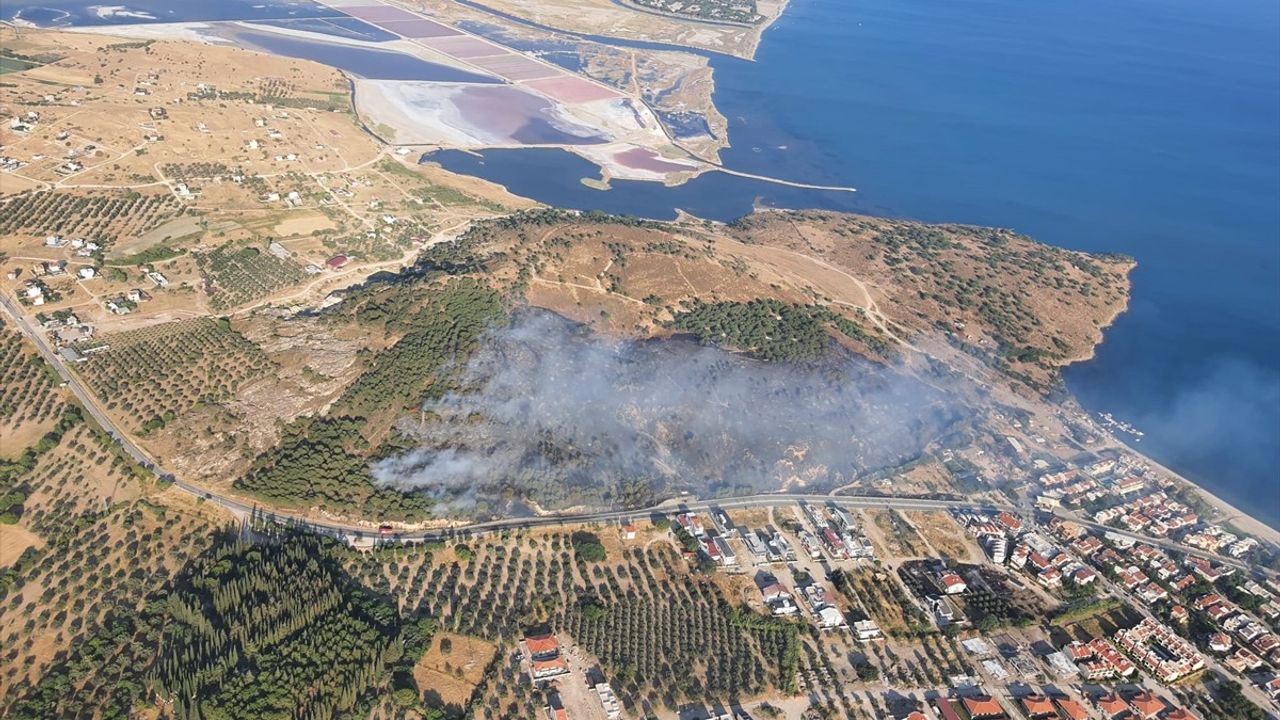 İzmir Dikili'deki Yangına Hava ve Kara Müdahalesi
