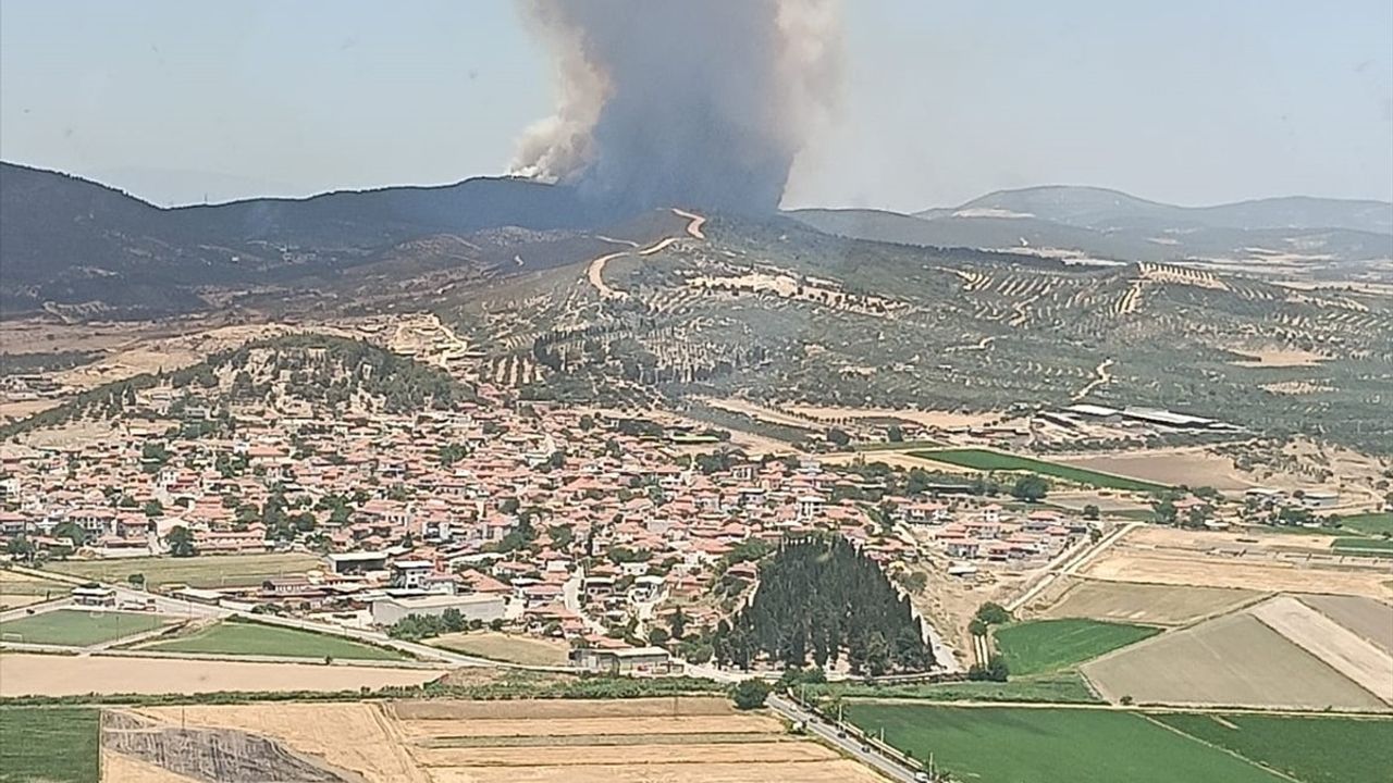 İzmir Aliağa'da Orman Yangınına Müdahale Devam Ediyor