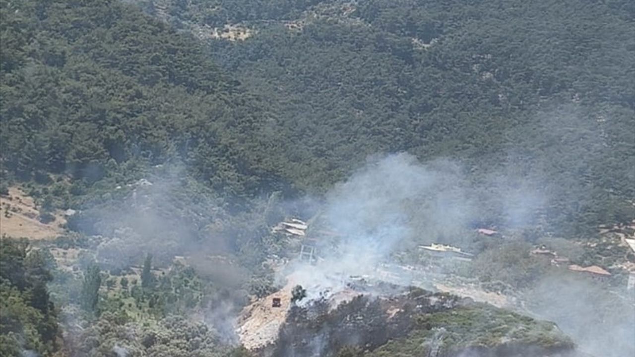 İzmir Kemalpaşa'da Orman Yangınına Müdahale Devam Ediyor
