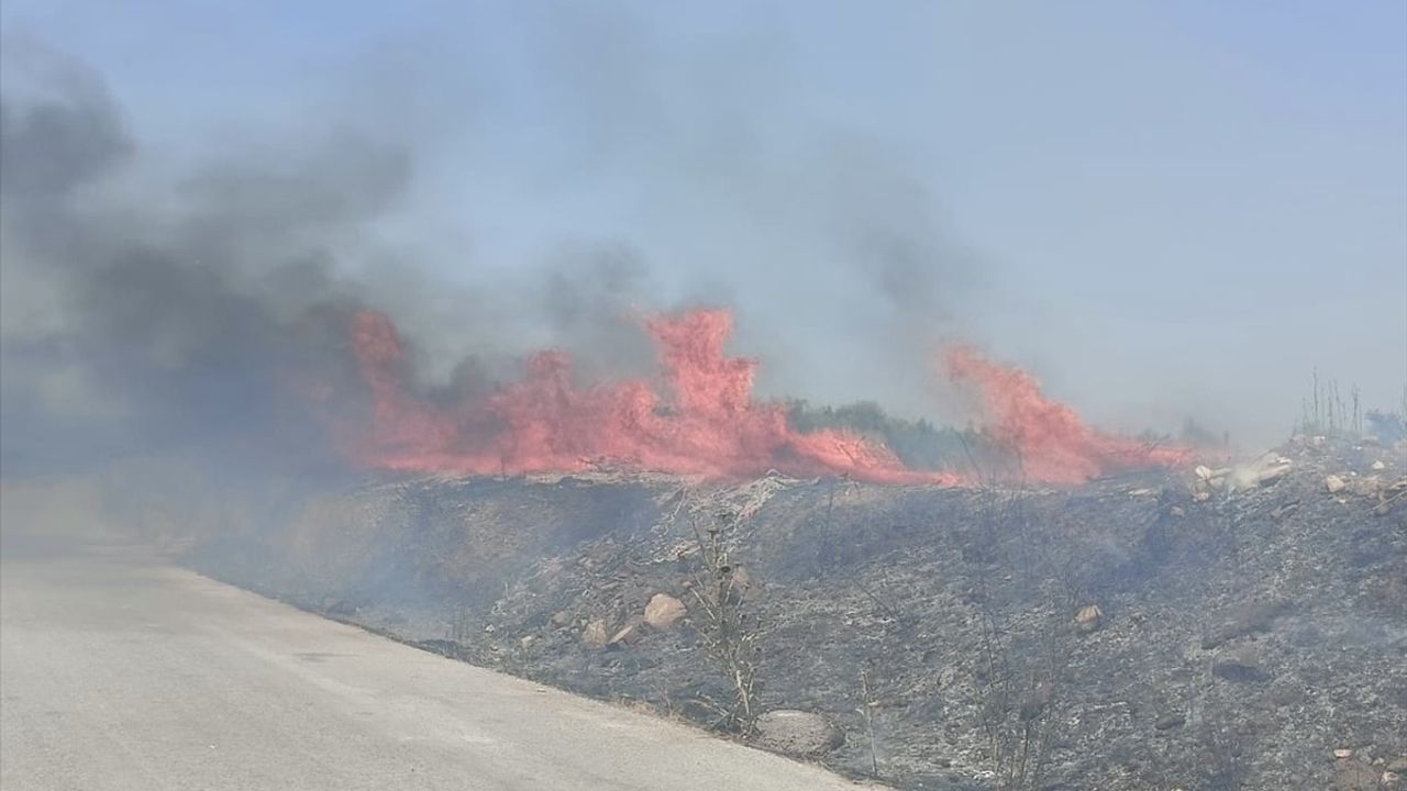 İzmir Kemalpaşa'da Yangın Kontrol Altına Alındı