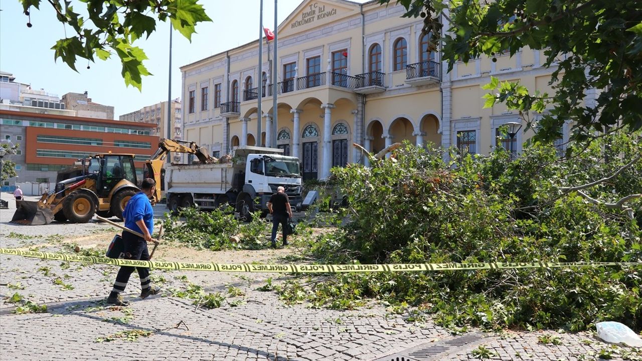İzmir Kemeraltı Çarşısı'nda Asırlık Çınar Devrildi