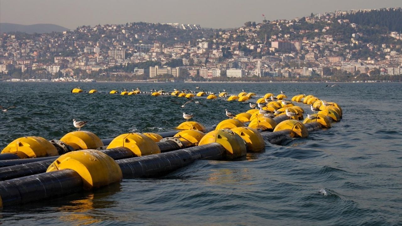 İzmit Körfezi'nde Su Kalitesi Artışı