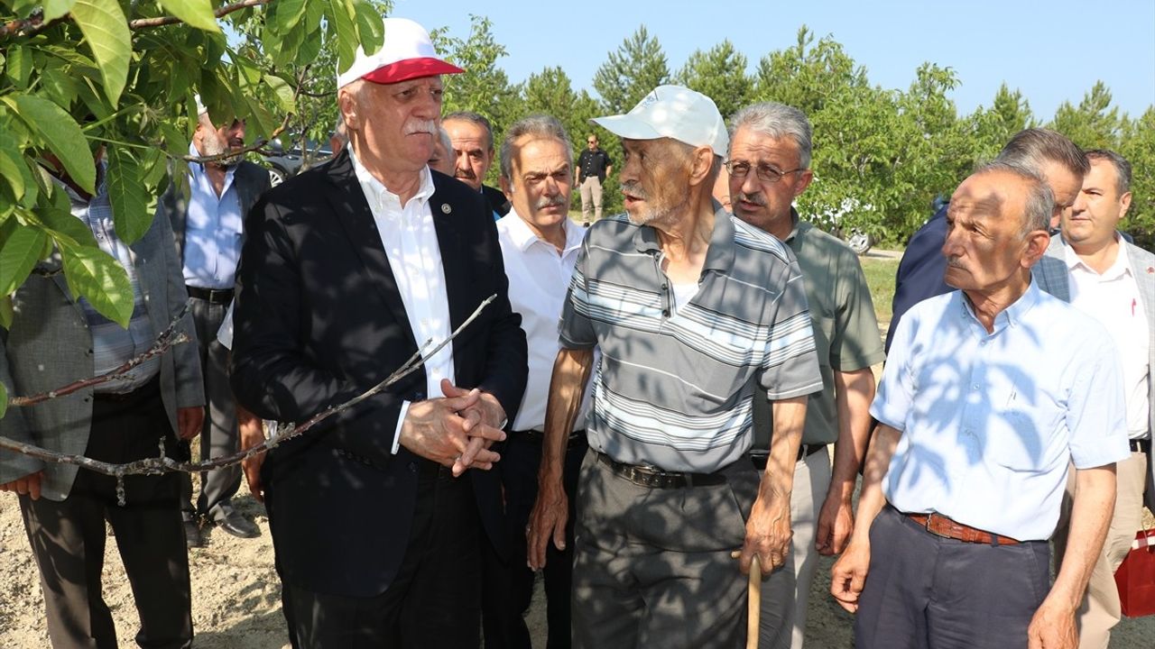 Karabük'te Zirai Don İncelemesi: TZOB Başkanı Bayraktar'dan Açıklamalar