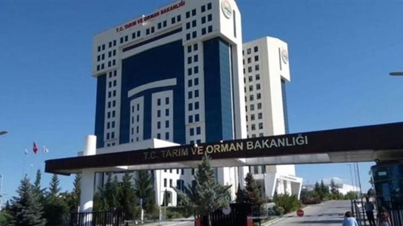 Kebabın kalbi Adana’da yeni bir skandal! İsyan ettirecek açıklama geldi