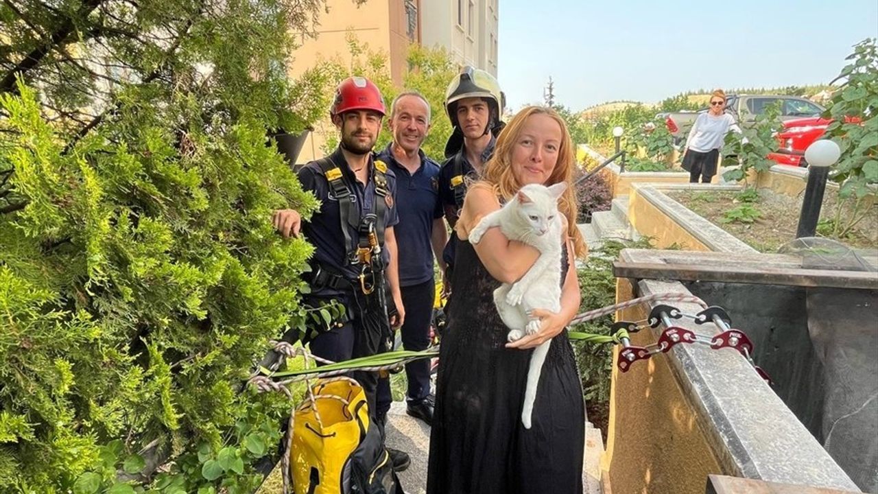Kediyi Havalandırma Boşluğundan Kurtardılar