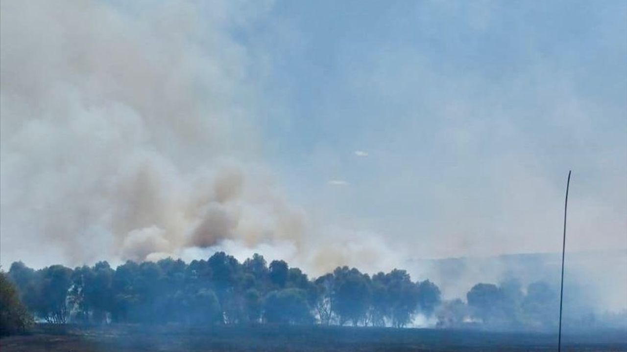Kırklareli'nde Tarım Arazisinde Yangın Çıktı