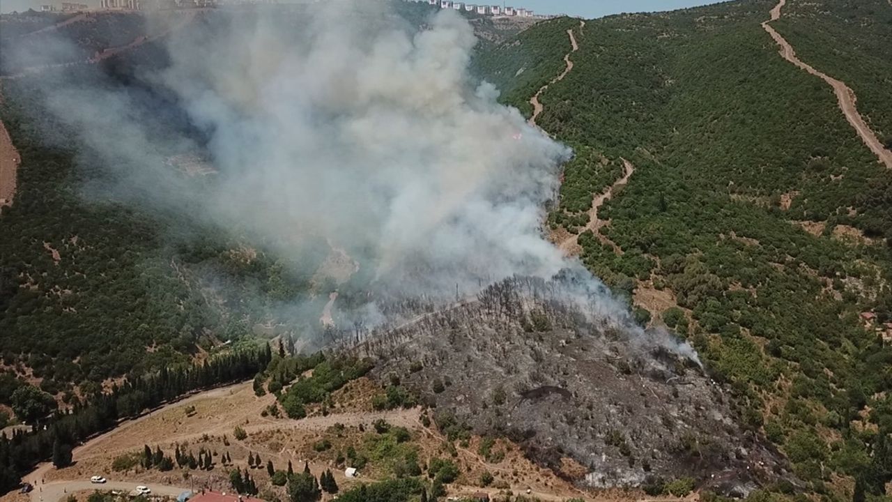 Kocaeli'de Yangın Söndürme Çalışmaları Devam Ediyor