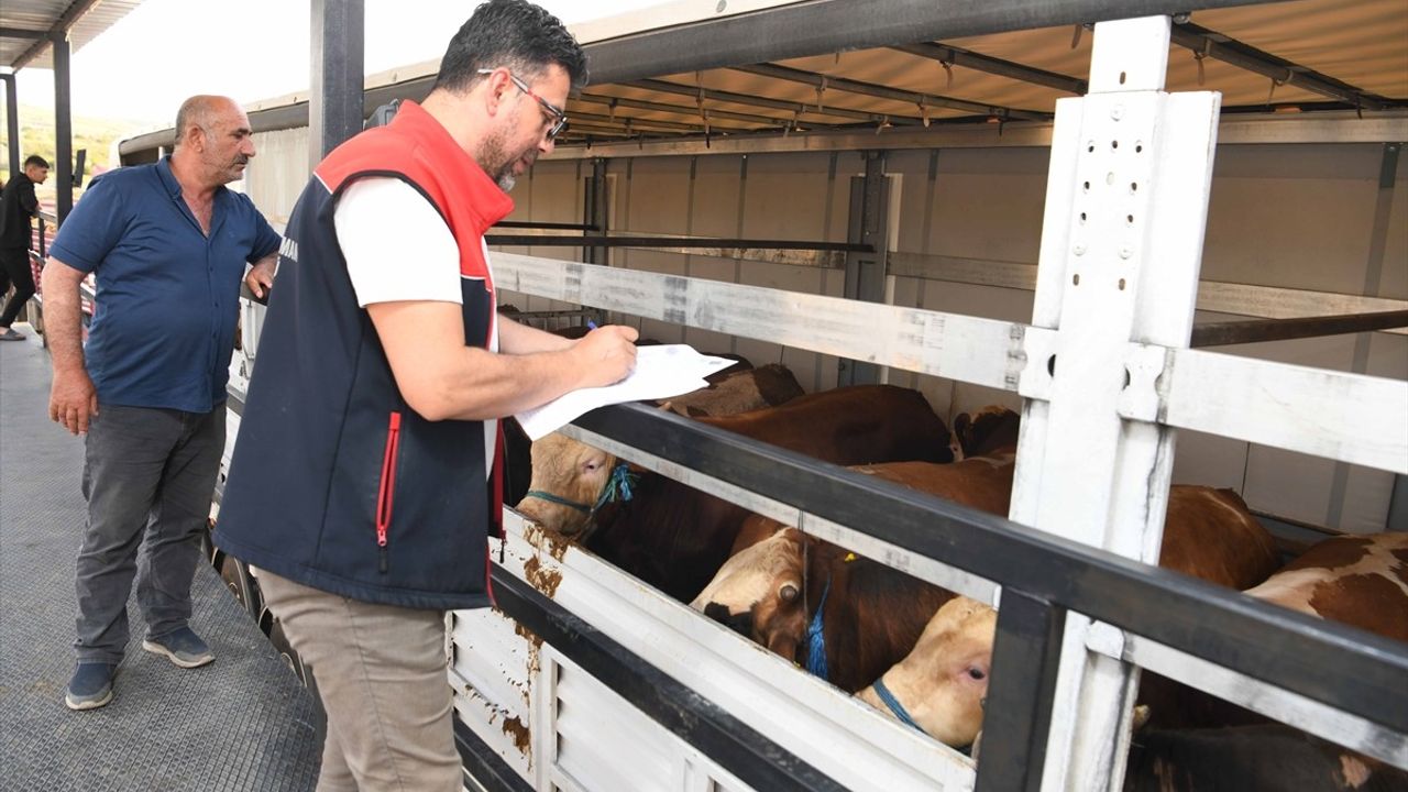 Kurban Bayramı Öncesi Hayvan Denetimlerinde Sıkı Kontrol