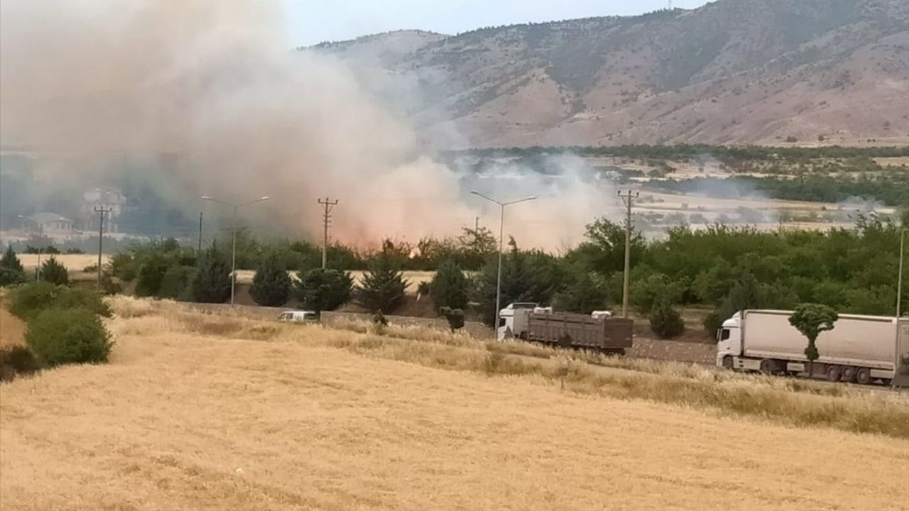 Malatya'da Otluk Alanda Yangın Söndürüldü