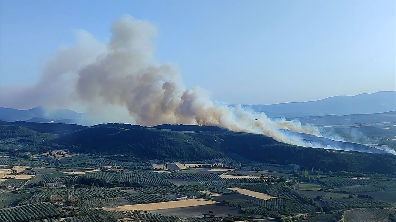 Manisa'da Orman Yangınına Hızlı Müdahale