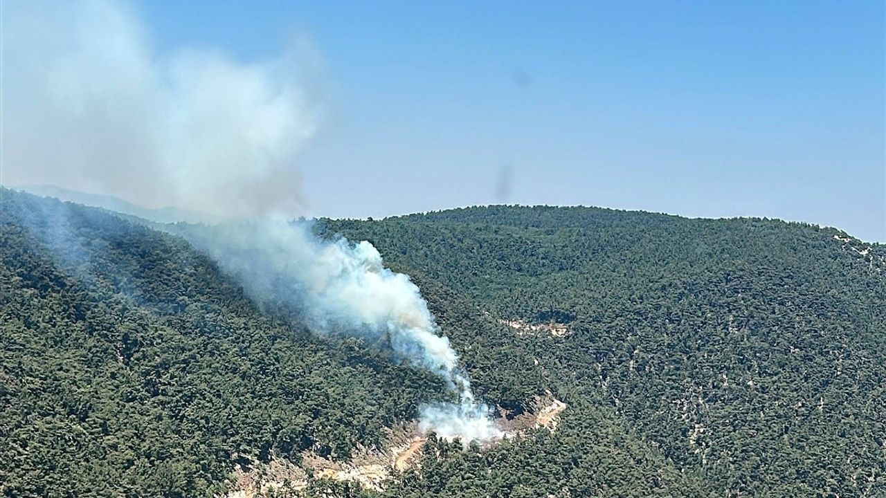 Manisa'daki Orman Yangınına Müdahale Devam Ediyor
