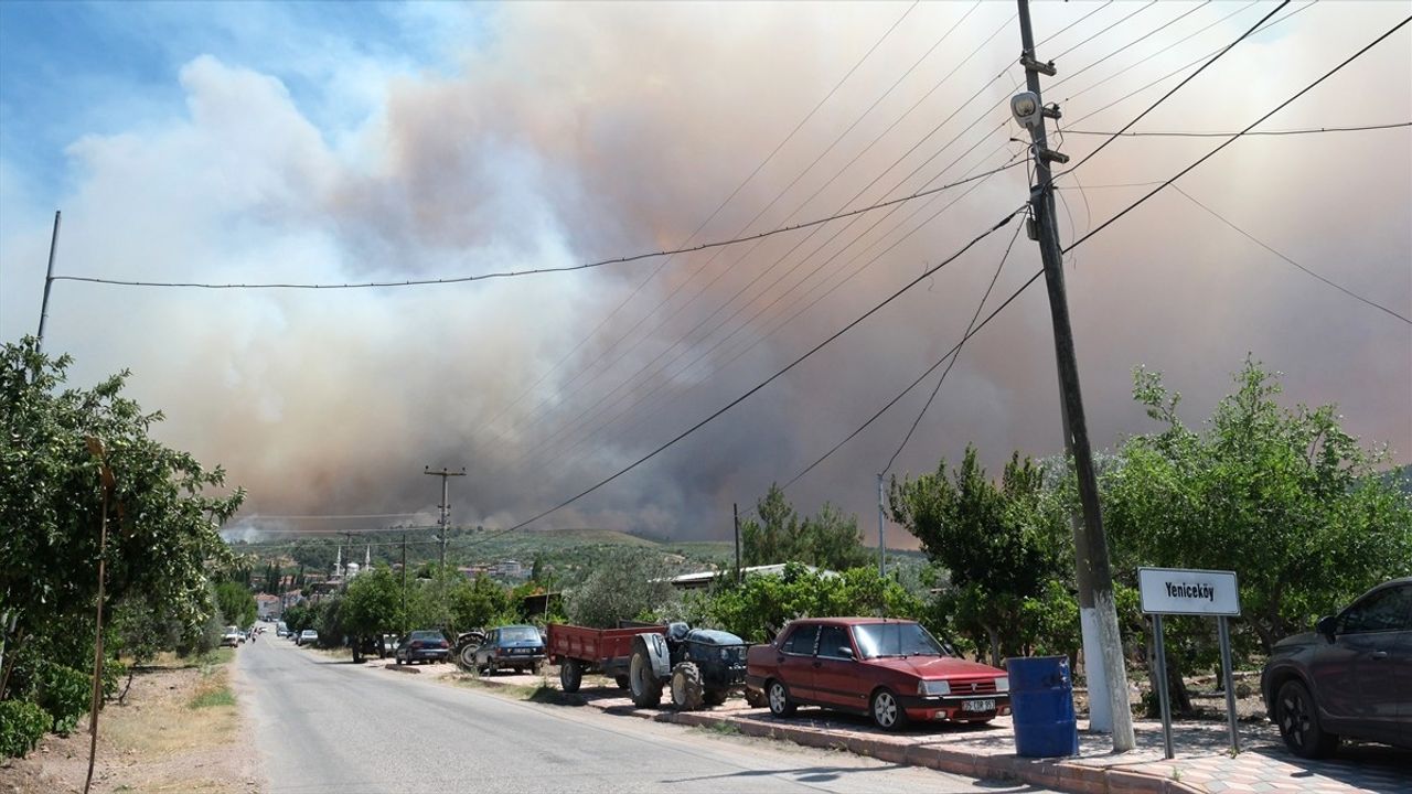 Manisa'daki Orman Yangınına Sürekli Müdahale