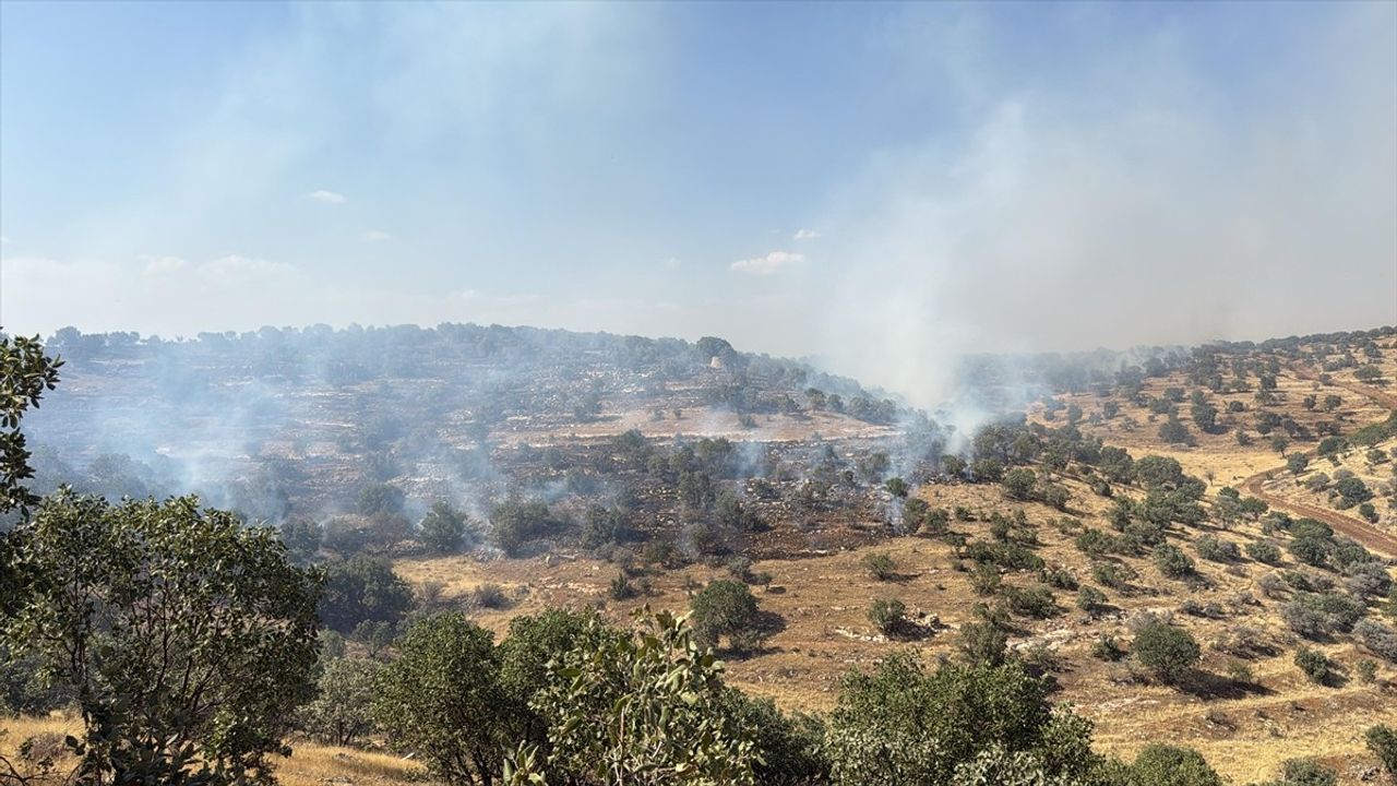 Mardin'de Orman Yangını Kontrol Altına Alındı