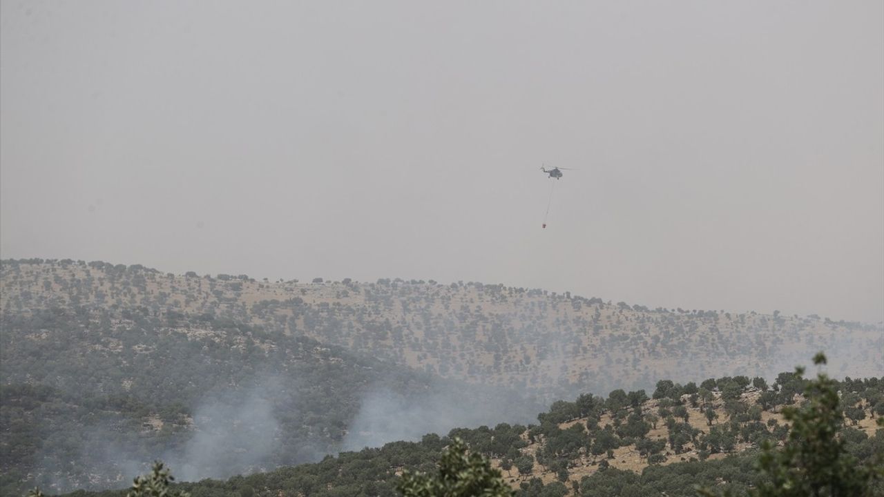 Mardin'de Orman Yangınına Müdahale Ediliyor