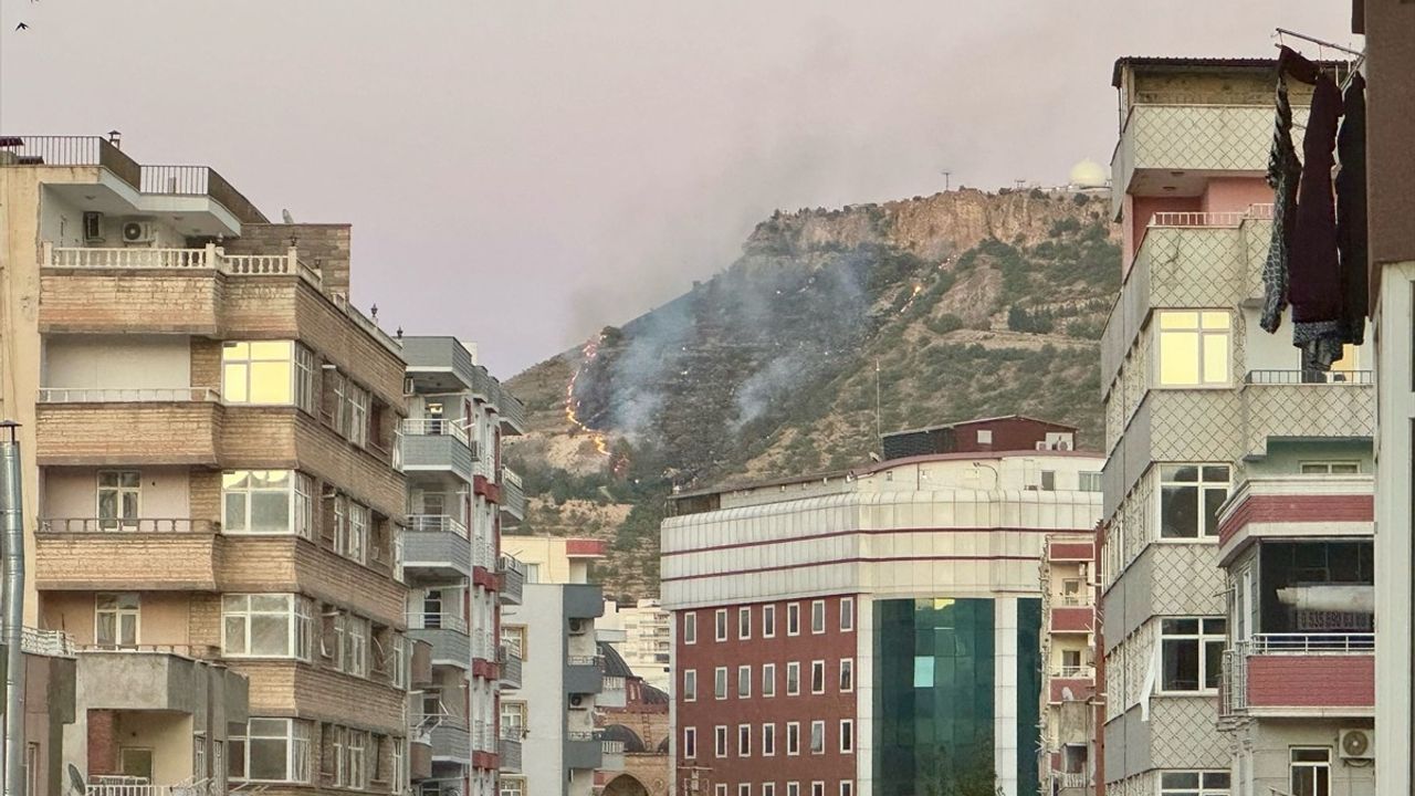 Mardin Kalesi Eteklerinde Yangın Kontrol Altına Alındı