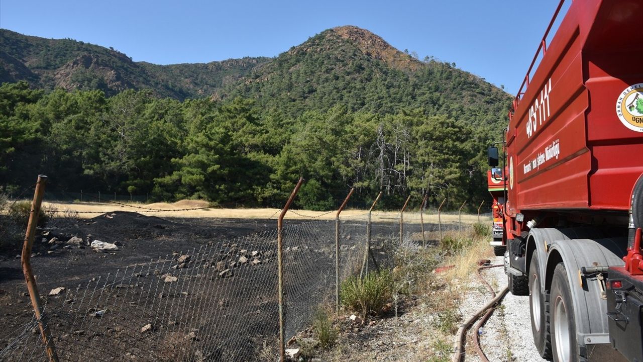Marmaris'te Orman Yangını Kontrol Altına Alındı