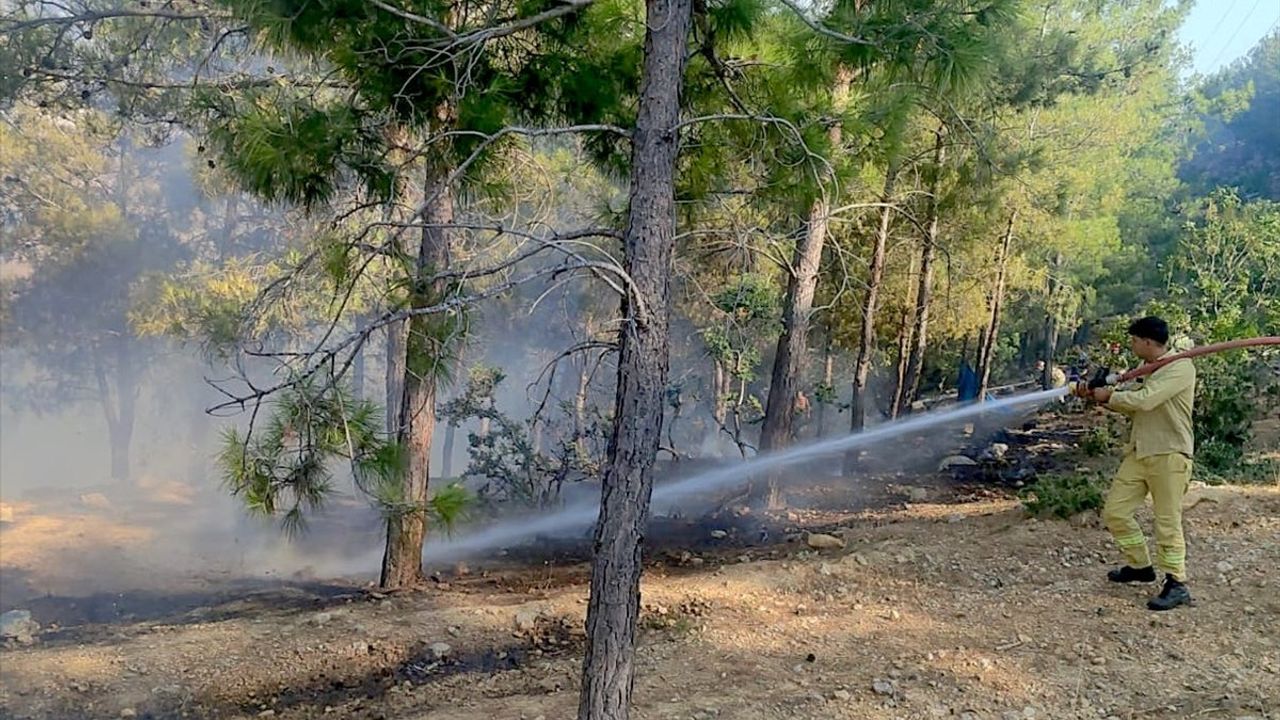 Mersin Aydıncık'ta Orman Yangını Söndürüldü