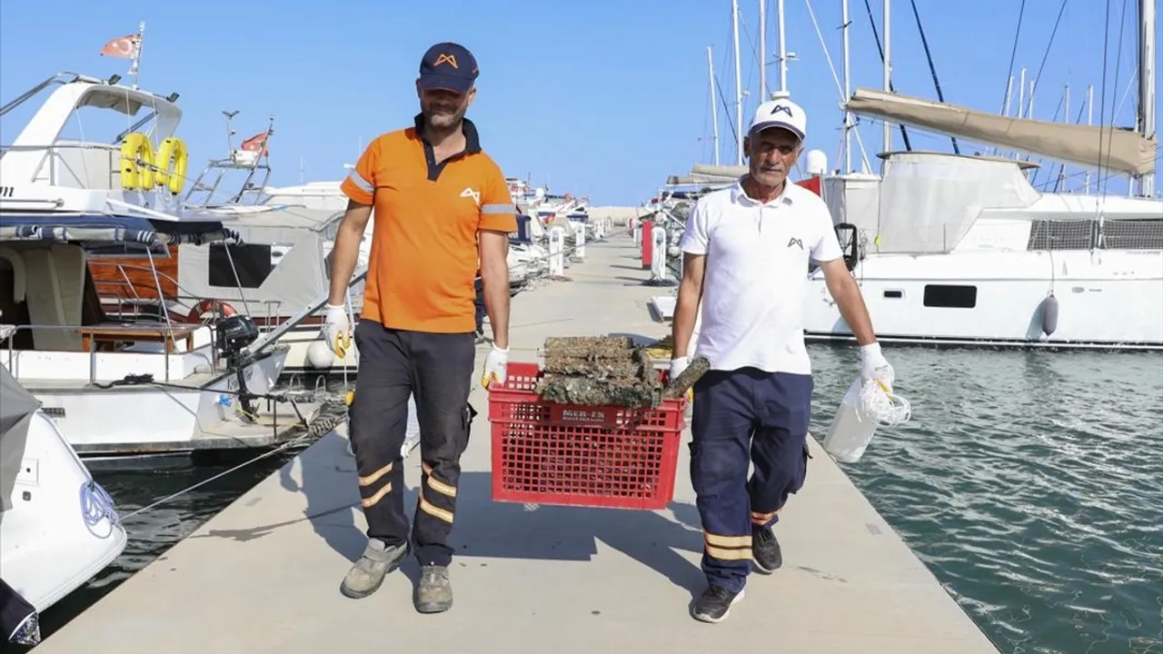 Mersin'de Deniz Temizliği Etkinliği
