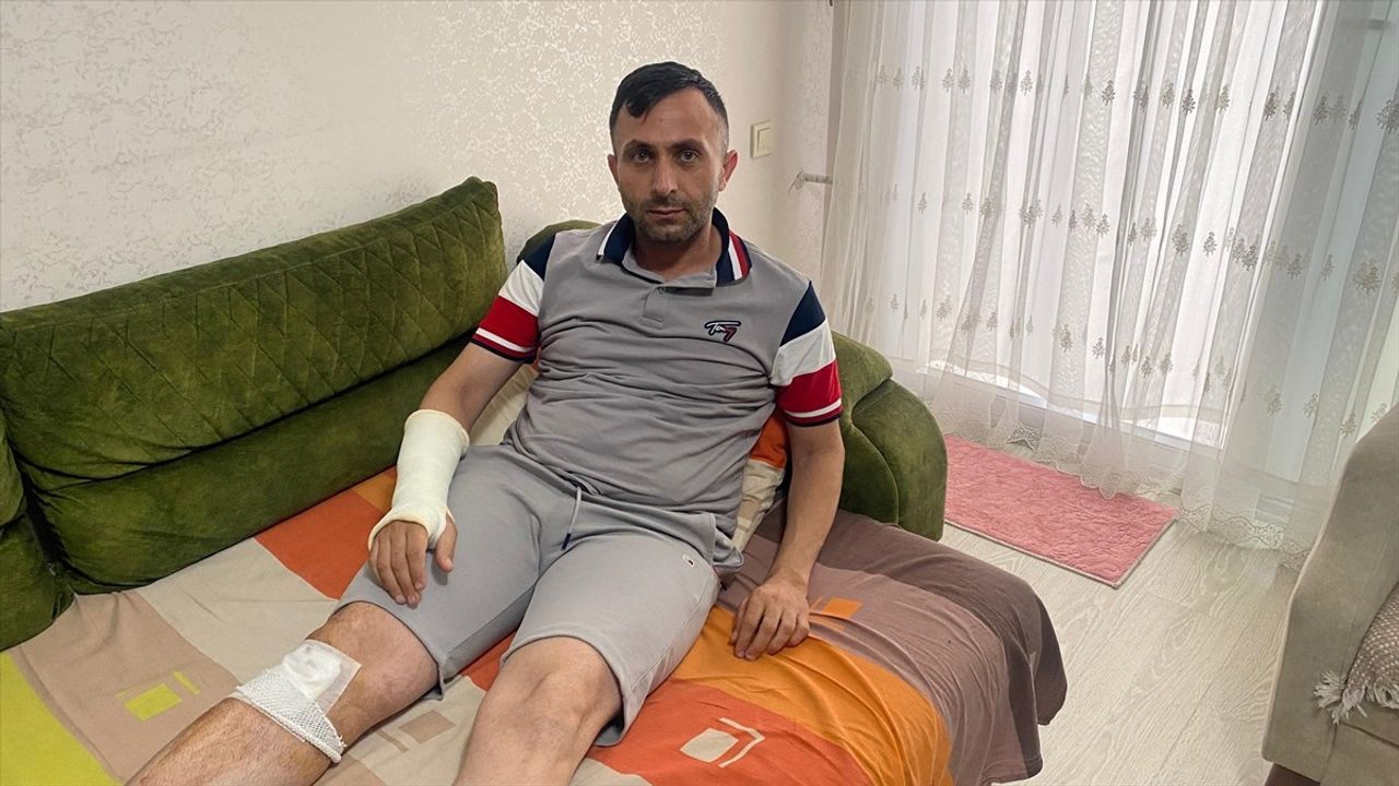 Mersin'de Sahipsiz Köpeklerin Saldırısı: Bir Kişi Yaralandı