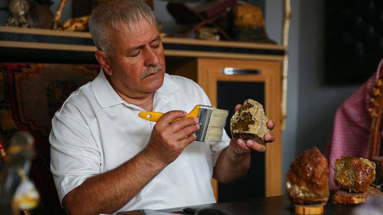 Mersin'de Taş Koleksiyonu Oluşturan Doğa Tutkunu: Hüseyin Durer