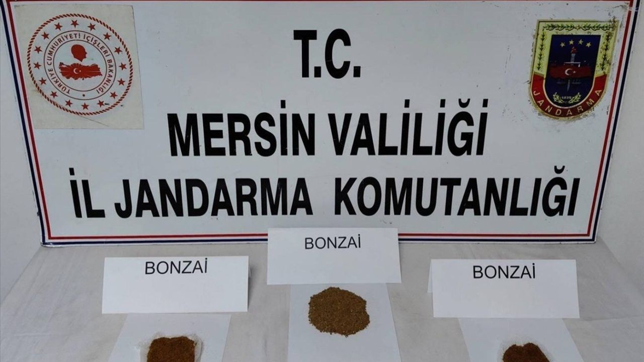 Mersin'de Uyuşturucu Operasyonu: 1 Tutuklama
