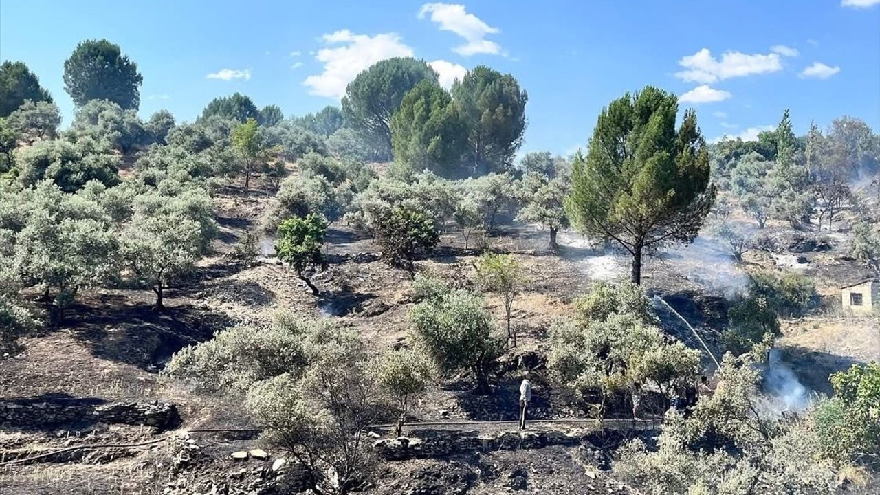 Muğla'daki Yangın Kontrol Altına Alındı